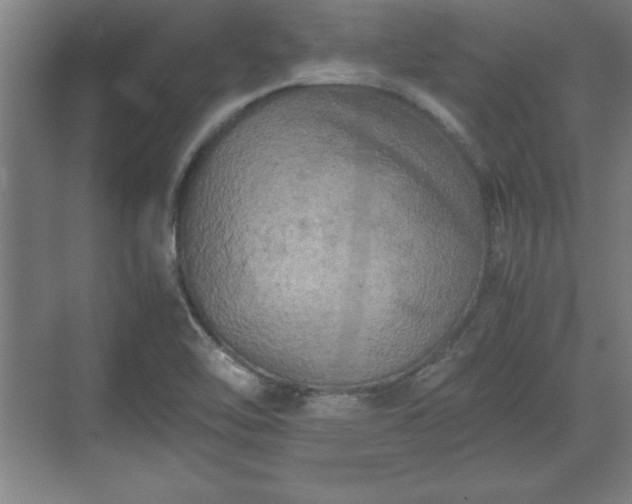 X0000071781462200607071417