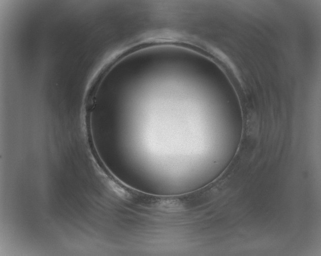 X0000071781464200607071417