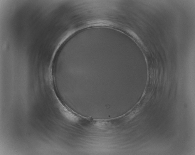 X0000071781466200607071417