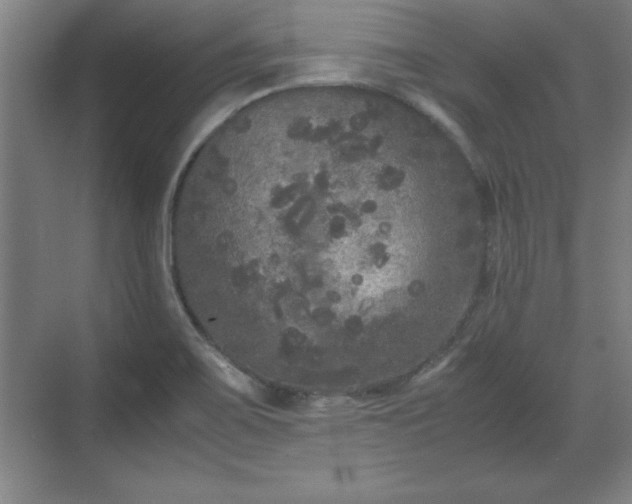 X0000071781467200607071417