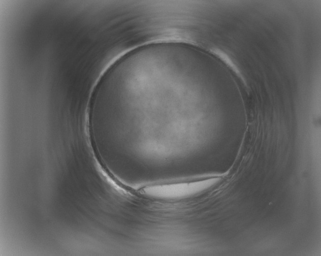 X0000071781468200607071417