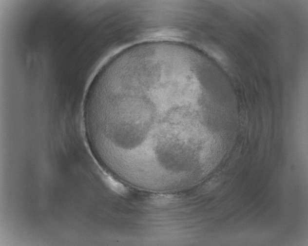 X0000071781470200607071417