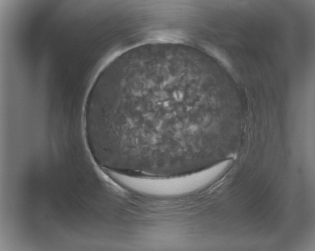 X0000071781471200607071417