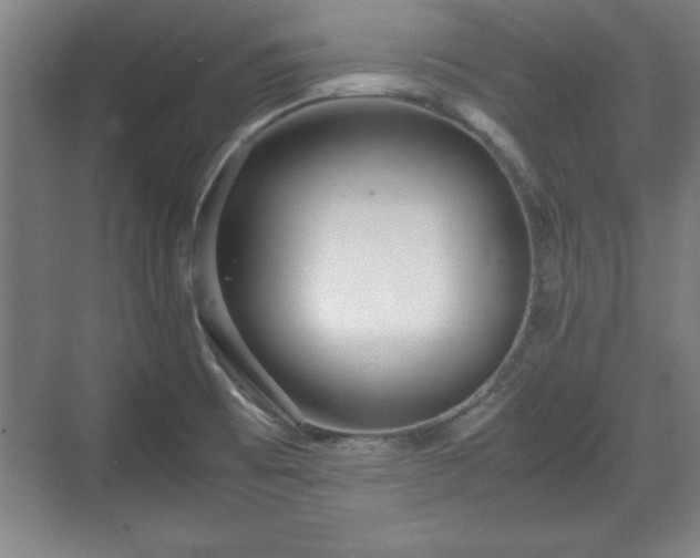 X0000071781473200607071417