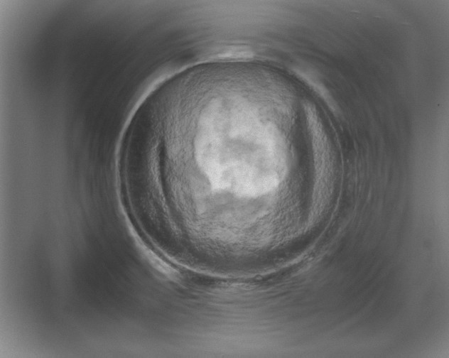 X0000071781475200607071417