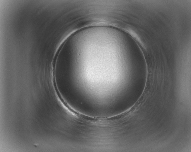 X0000071781476200607071417