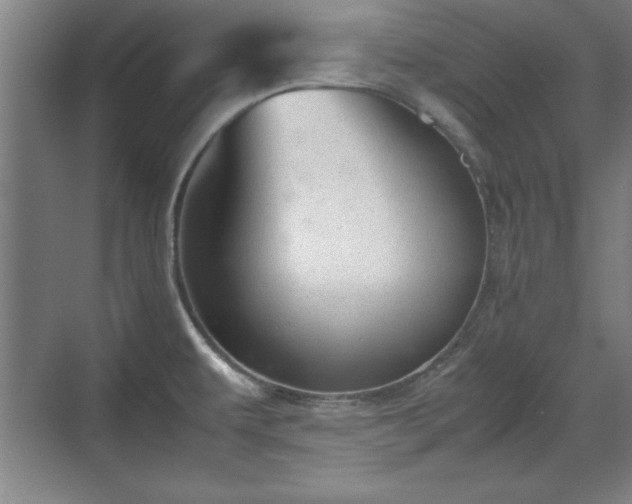 X0000071781479200607071417