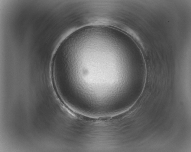 X0000071781480200607071417