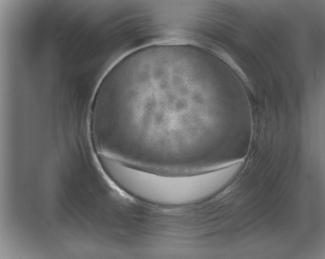 X0000071781484200607071417