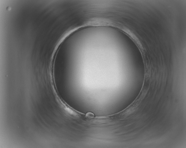 X0000071781486200607071417