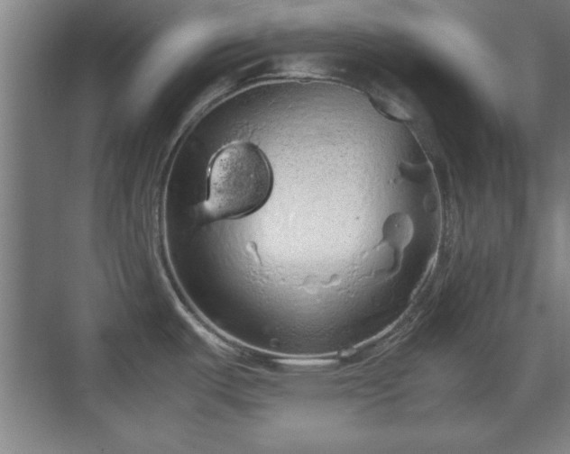 X0000071781487200607071417