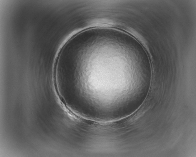 X0000071781488200607071417