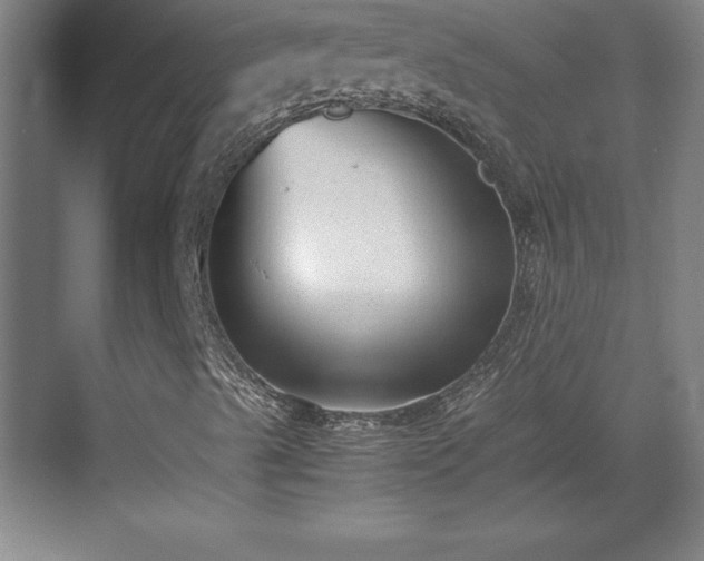 X0000071781489200607071416