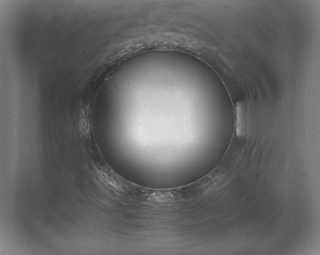 X0000071781491200607071416