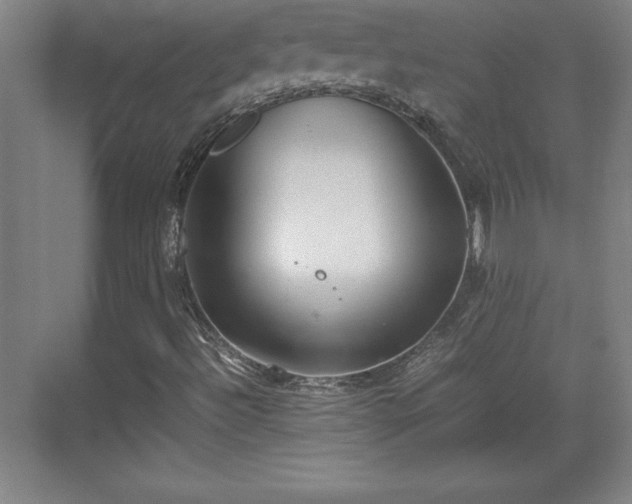 X0000071781492200607071416