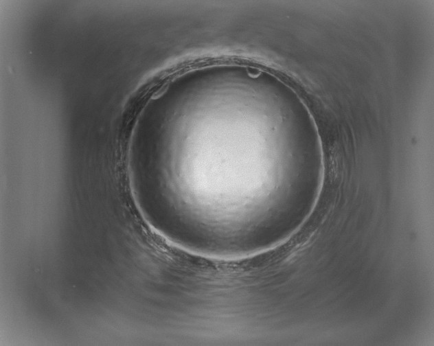 X0000071781494200607071416