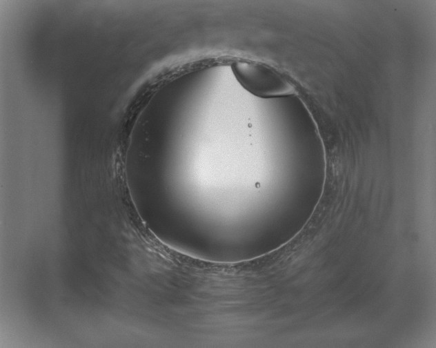 X0000071781495200607071416