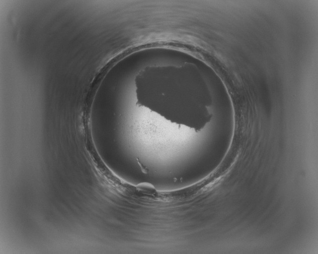 X0000071781497200607071416