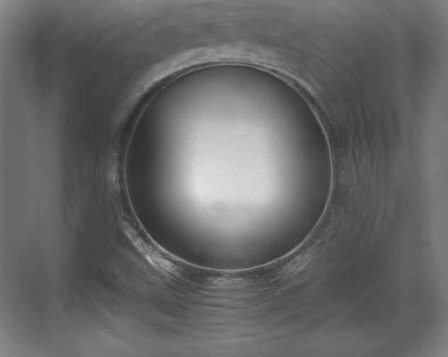 X0000071781499200607071416