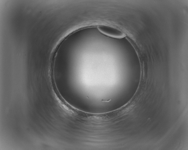 X0000071781500200607071416