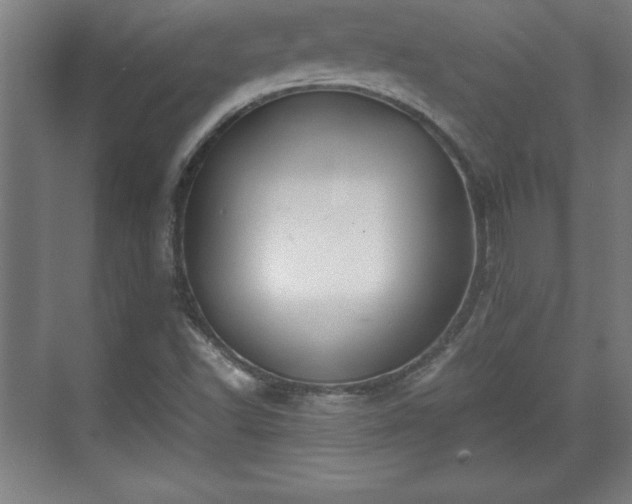 X0000071781502200607071416