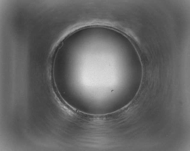 X0000071781504200607071416