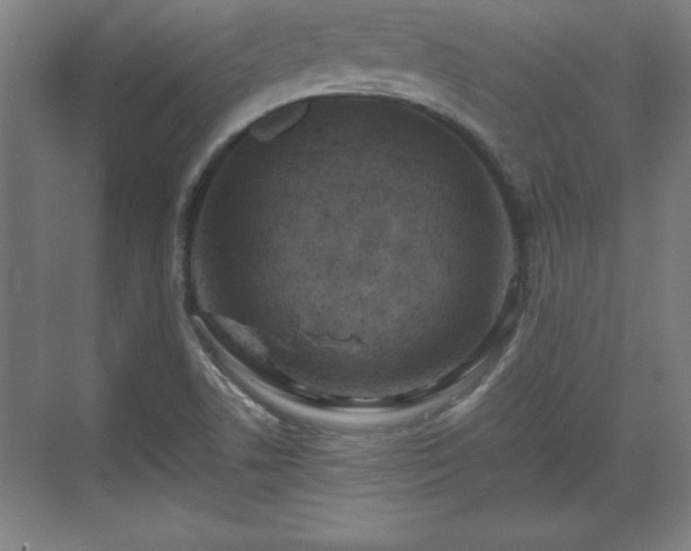 X0000071781506200607071416