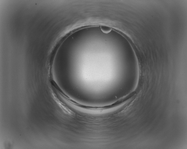 X0000071781507200607071416