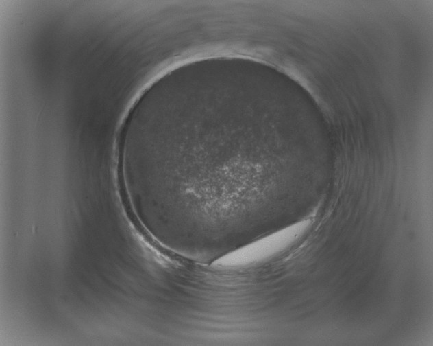 X0000071781508200607071416