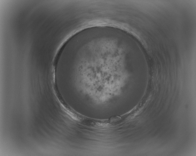 X0000071781509200607071416