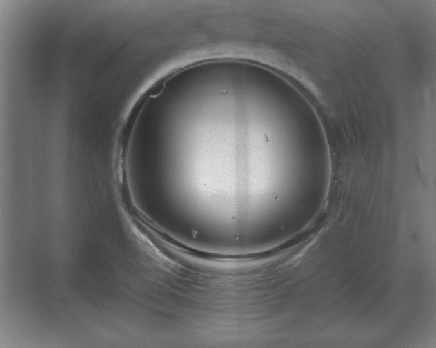 X0000071781510200607071416