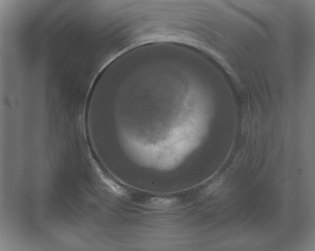 X0000071781513200607071416