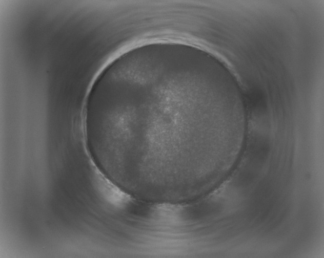 X0000071781514200607071416