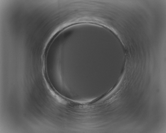 X0000071781515200607071416