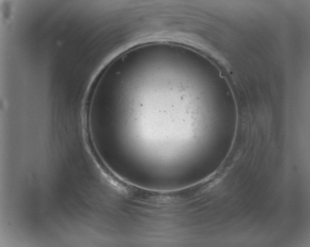 X0000071781517200607071416