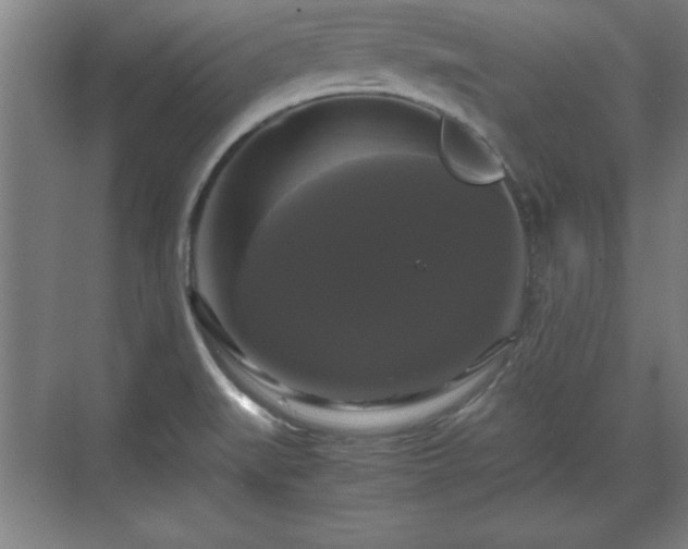 X0000071781519200607071416