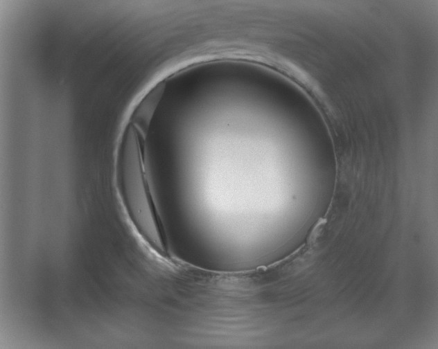 X0000071781520200607071416