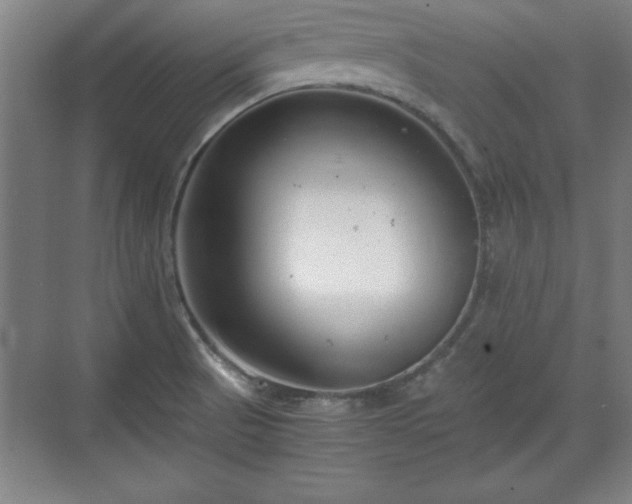 X0000071781521200607071416