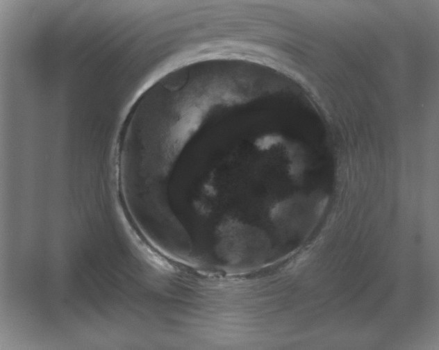 X0000071781522200607071416