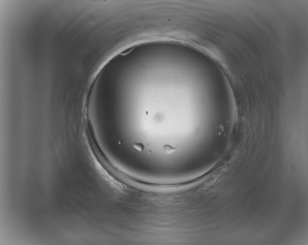 X0000071781524200607071416