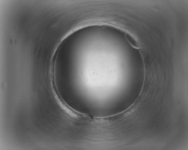 X0000071781526200607071417