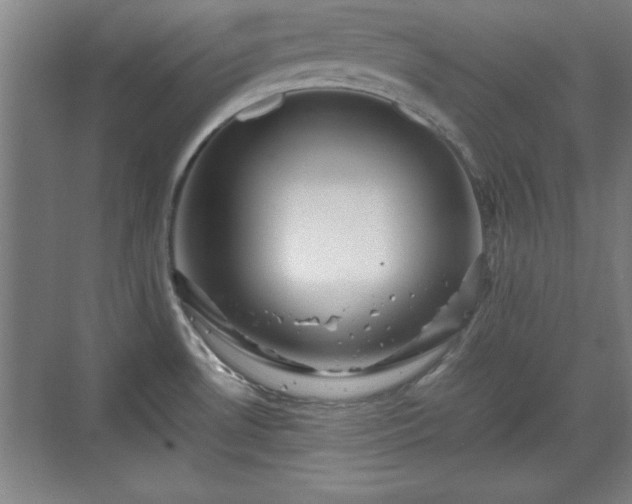 X0000071781530200607071417