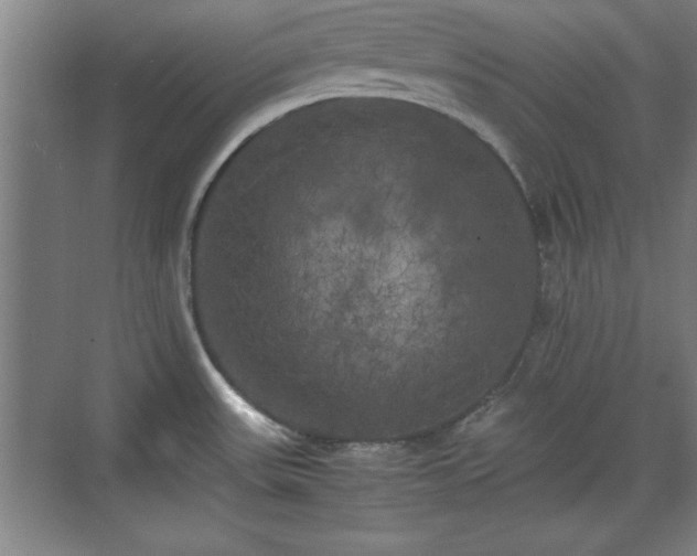 X0000071781531200607071417