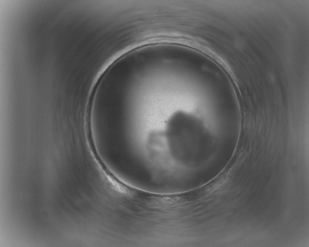 X0000071781533200607071417