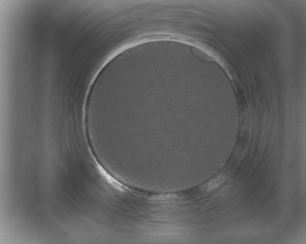 X0000071781535200607071417