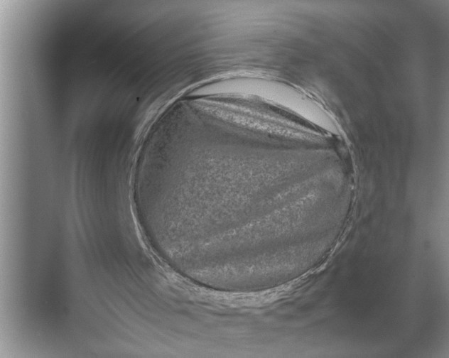 X0000071780001200607150107