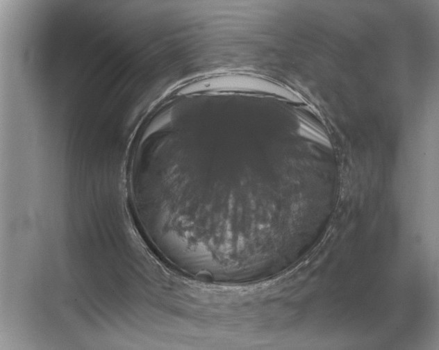 X0000071780002200607150107