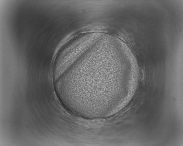 X0000071780004200607150107