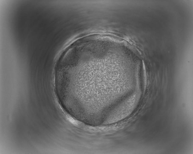 X0000071780005200607150107