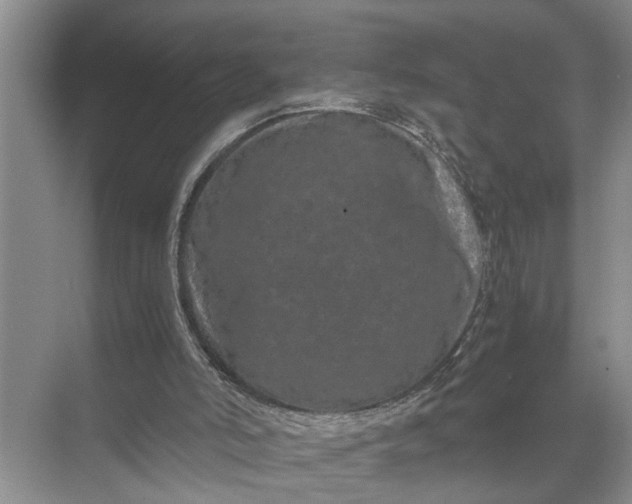 X0000071780006200607150107